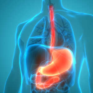 Thust Akademie - naturheilkundliche Gastroenterologie